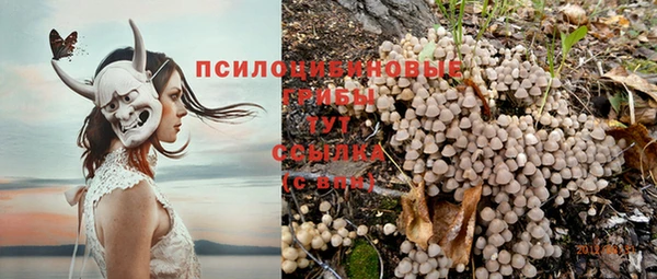 СК Михайловка