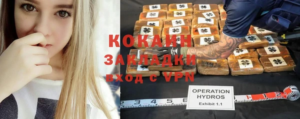 тгк Михайлов
