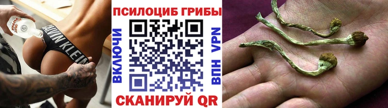 Псилоцибиновые грибы GOLDEN TEACHER  Орлов 